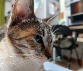 开云官方网站-墣泌/絺?=鄃"'